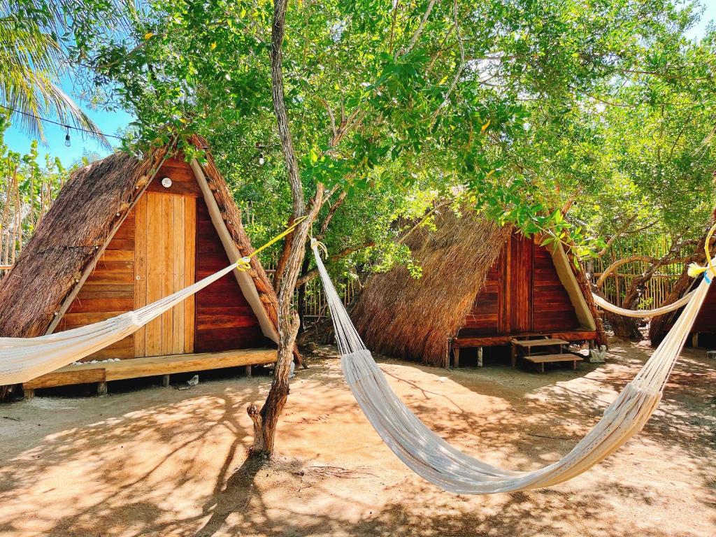 奥尔沃克斯岛La Aldea Holbox Cabañas y Camping的两座小屋 - 带树上的吊床
