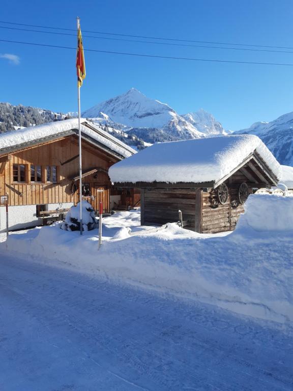 格施塔德Gässlihof的雪中带旗帜的小木屋