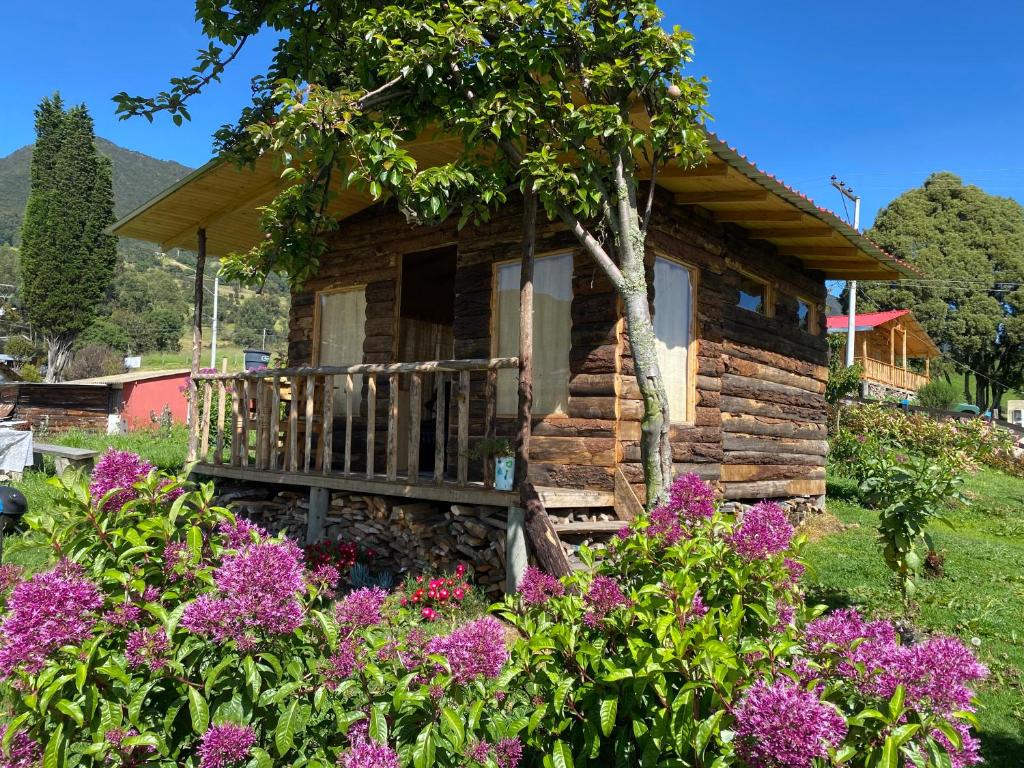 锡帕基拉Serás Libre Refugio的小屋前方有鲜花