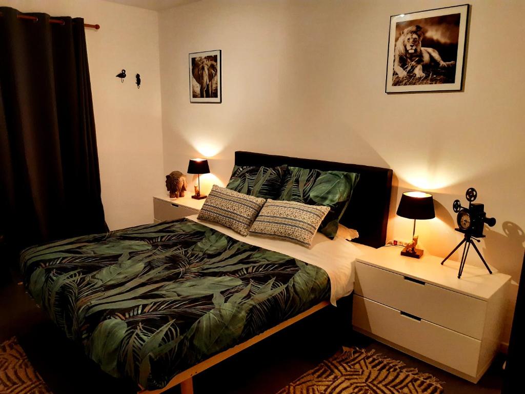奥斯坦德La petite Savane的一间卧室配有一张床和一张带摄像头的书桌