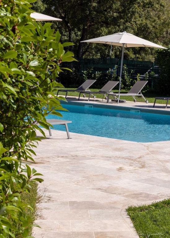 Logis Hôtels - Le Belvédère - Hôtel 2 étoiles et Restaurant内部或周边的泳池