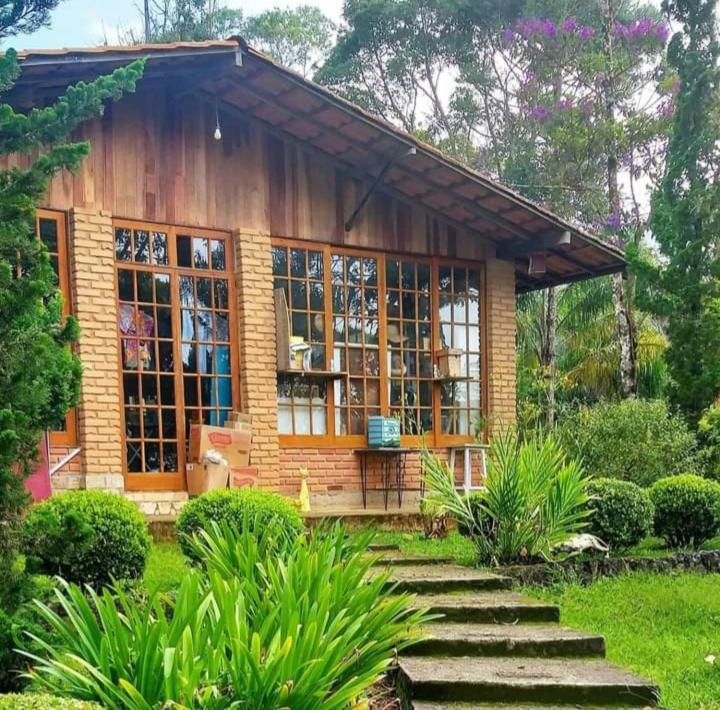 PalmitalCasa Refúgio da floresta na Serra的一座小木房子,设有玻璃窗和楼梯