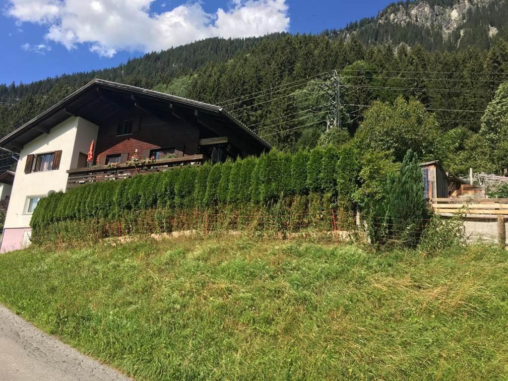 加舒恩Haus Bergblick的一座带葡萄园的小山上的房屋