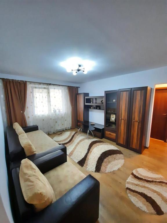 锡比乌Happy apartament的带沙发和地毯的客厅