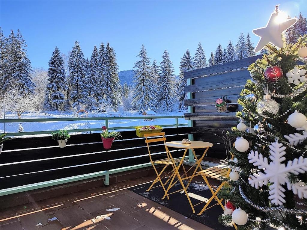 波亚纳布拉索夫The Evergreen Nest - Silver Mountain的一个带圣诞树和桌子的门廊