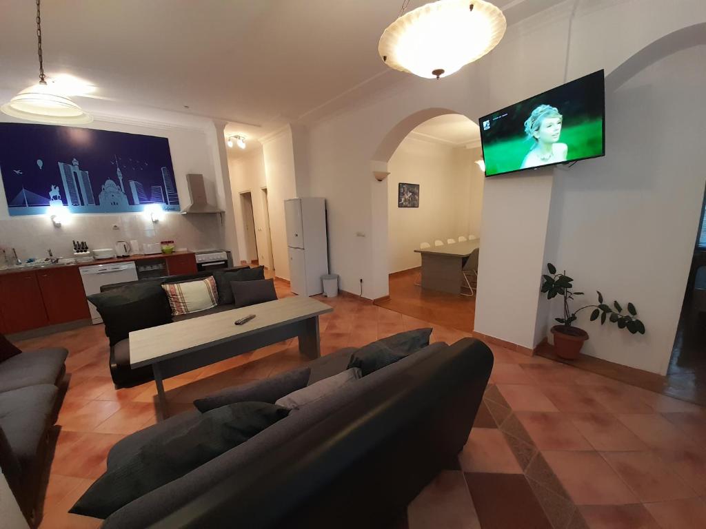 贝尔格莱德Authentic Belgrade Centre Apartments的客厅配有沙发和墙上的电视