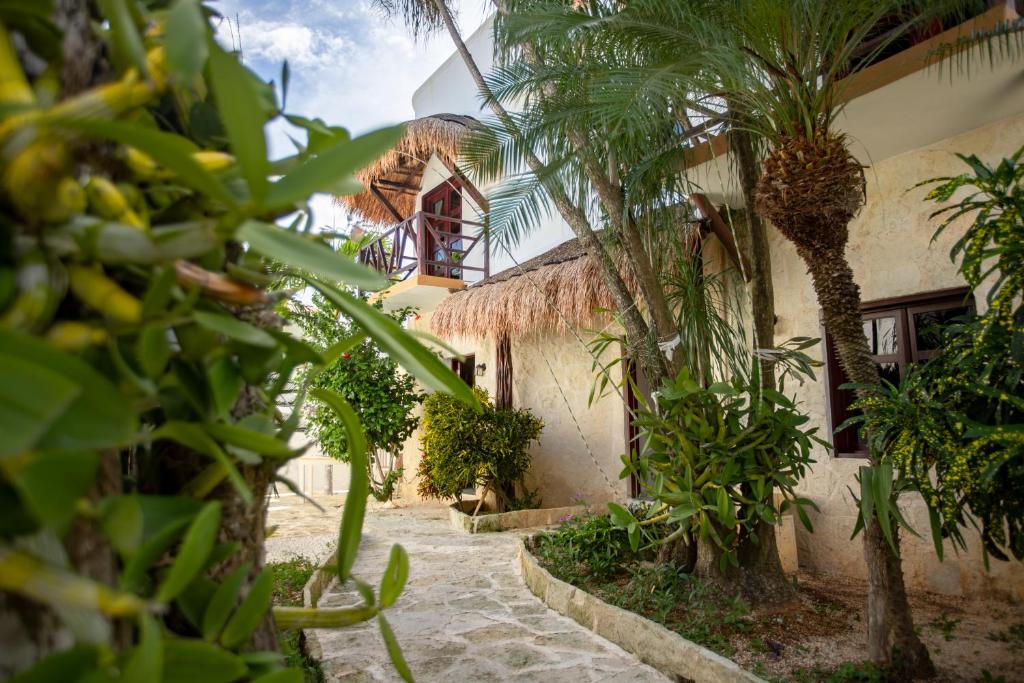 图卢姆Howlita Tulum - Adult Only的棕榈树庭院和建筑