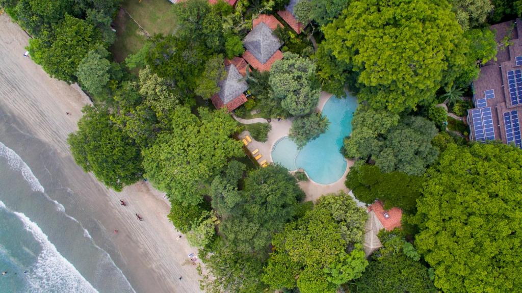 塔马林多卡普唐速斯海滨精品酒店的享有海滩的空中景致,设有游泳池和树木