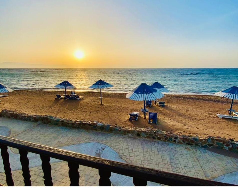 达哈布Lagona Dahab Hotel的海滩上设有遮阳伞和椅子,还有大海