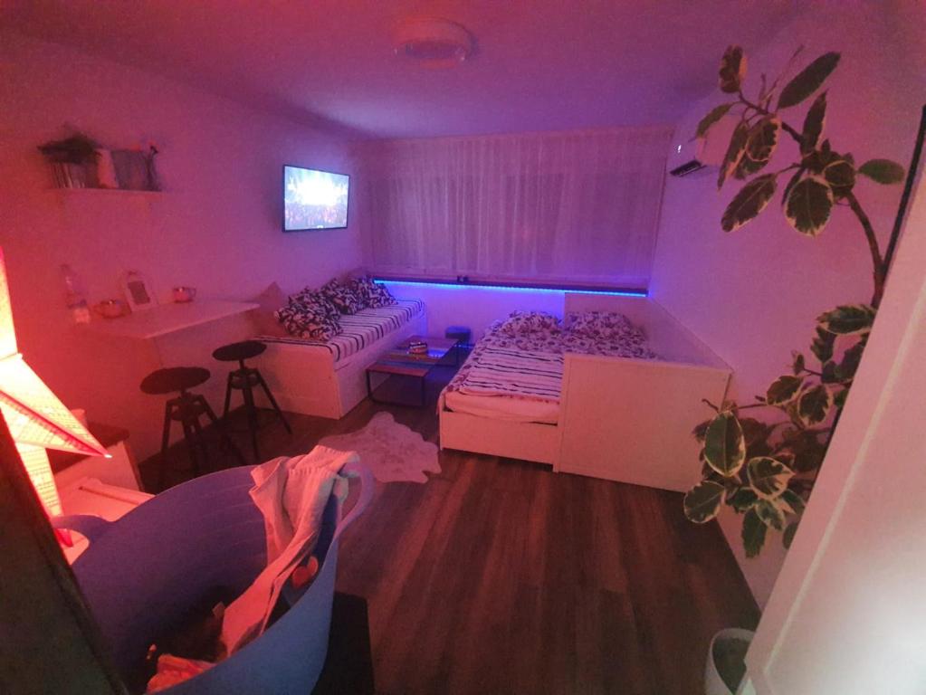 库蒂纳Studio apartman Tamai的一间设有两张床和紫色光的房间