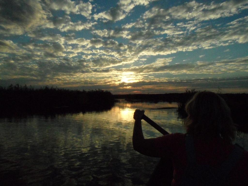 WroceńNoclegi nad Biebrzą Stara Szkoła的一位女人正在拍摄一条河上日落的照片