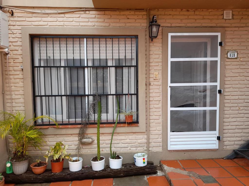 波萨达斯Casa cerca del microcentro y costanera的一座有窗户的房子和一堆盆栽植物