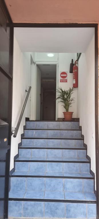 科拉雷侯ALBERGUE CRISTINA habitaciones con baño privado y mini cocina的走廊上设有蓝色楼梯,种植了盆栽植物