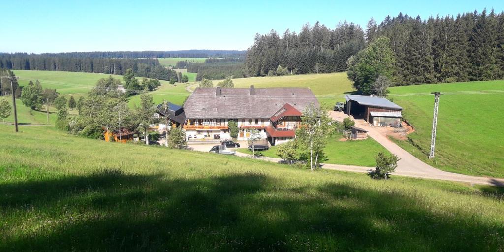 富特旺根Willmannshof的田野上大房子的空中景观