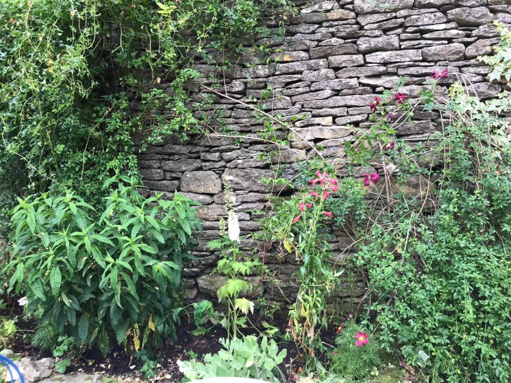 斯托昂泽沃尔德Lucy's Tearoom的石墙,有植物和花