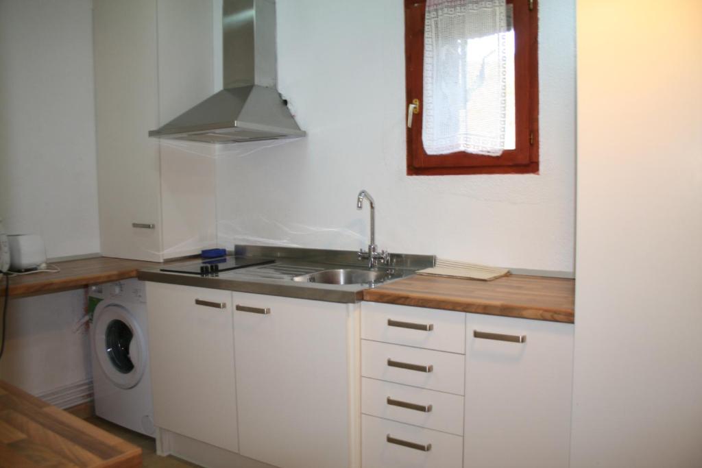 努奇堡Cal Xesc的厨房配有水槽和洗衣机