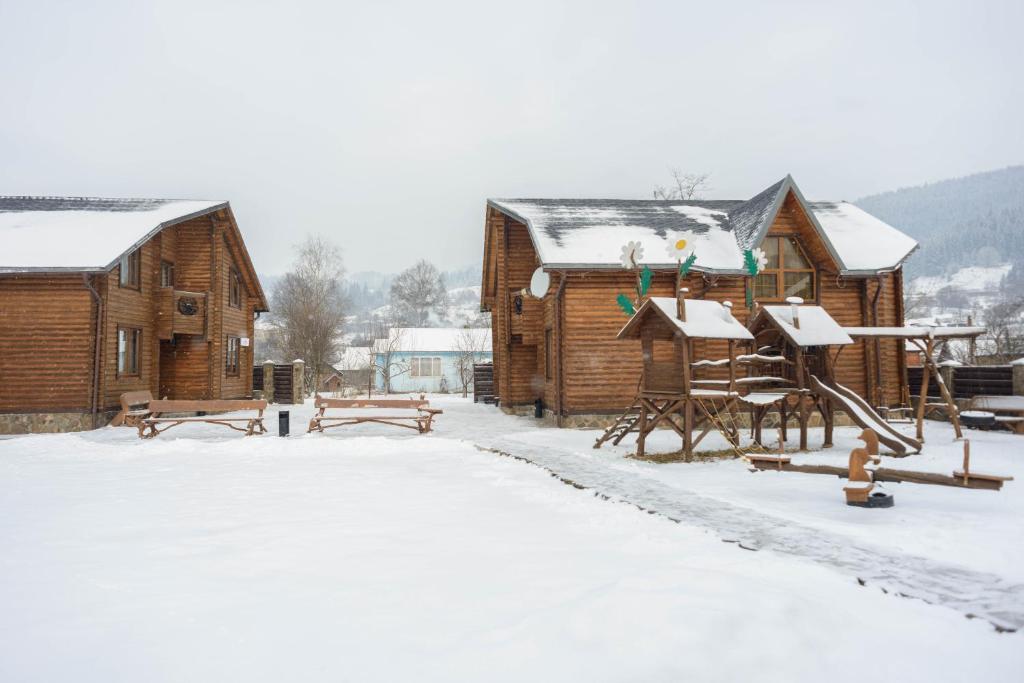 韦尔霍维纳Hotel Gerdan Verkhovina的雪中一组木制建筑