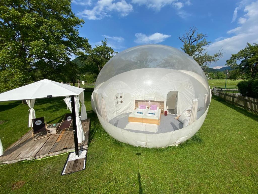 魏勒格Bubble Tent Hotel的一块大玻璃 ⁇ 顶,田野上有一张床