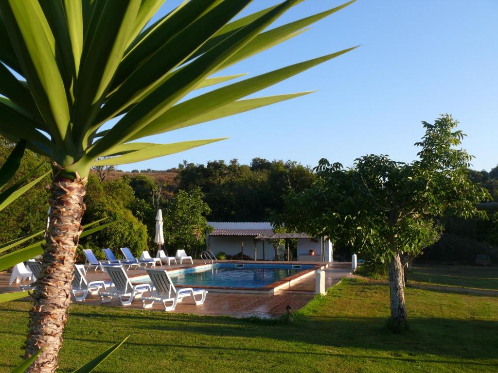 米尔芳提斯城Monte Do Adail Turismo Rural Casa De Campo的一个带躺椅的游泳池,并种植了棕榈树