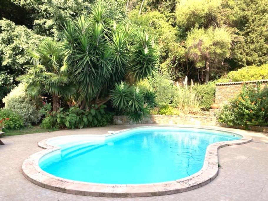 巴斯蒂亚Casa Galli- Belle villa coeur de ville avc piscine的一座种植了树木的庭院里的大型蓝色游泳池