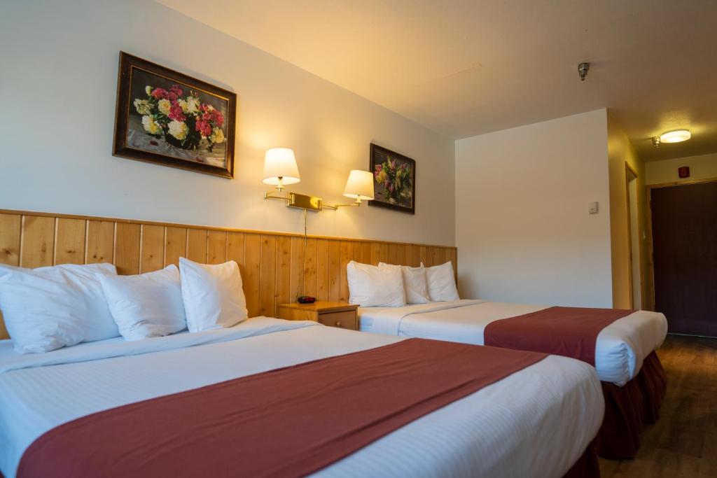 怀特霍斯Canadas Best Value Inn- Riverview Hotel的酒店客房,设有两张床和两张墙上的照片