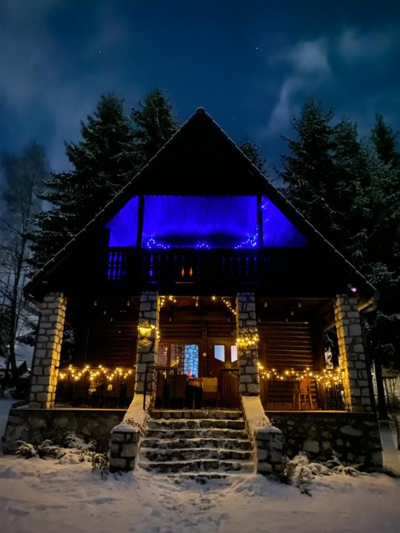 伊兹沃鲁穆列什鲁伊Lake House的小木屋在晚上以蓝色点亮