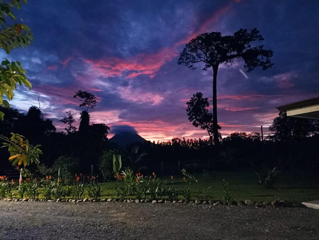 福尔图纳Villa Ceiba的庭院里棕榈树的日落