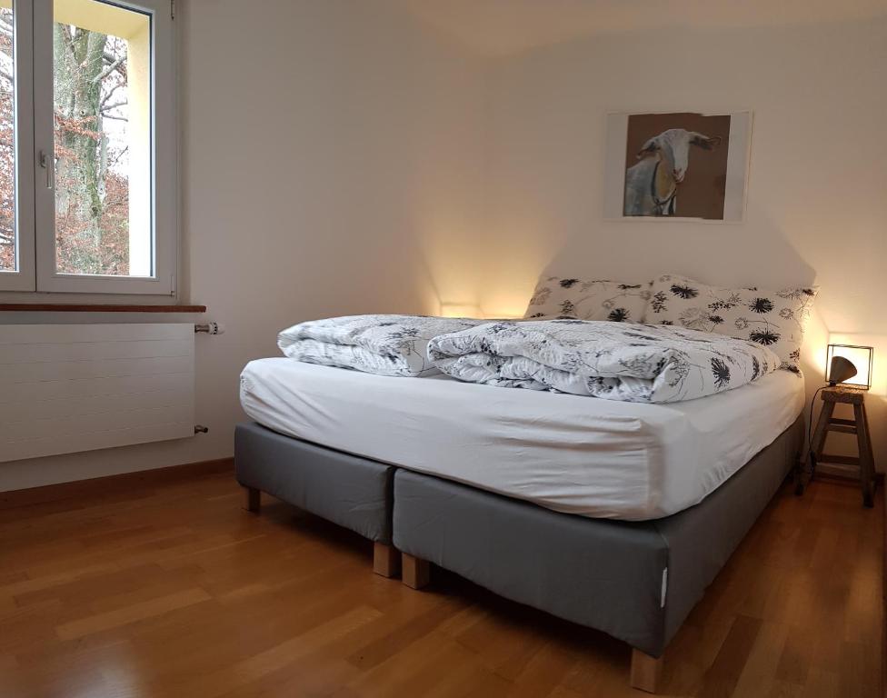 因特拉肯Interlaken City Apartments的一间卧室配有一张带白色床单的床和一扇窗户。