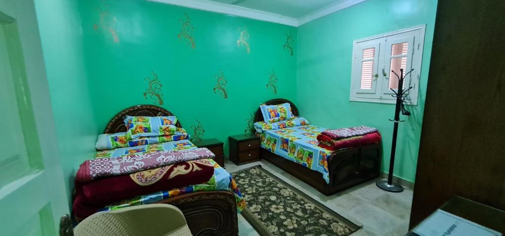 阿斯旺The Green Nubian House的绿色客房 - 带两张床和椅子