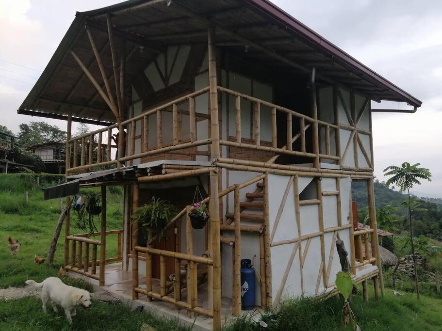 阿诺莱马Cabaña independiente en Granja Agroecologica的一座正在建造的山羊楼,外面有山羊