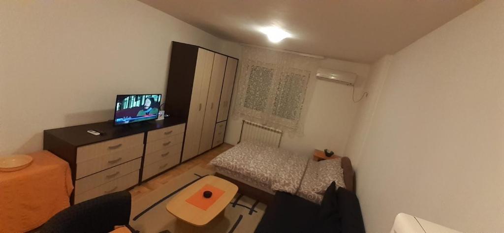 斯雷姆斯卡米特罗维察Sirmijum Hause的小房间设有一张床和一台电视机
