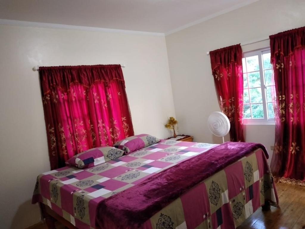 Epping FarmJay's Guest House II的一间卧室配有一张带红色窗帘的紫色床