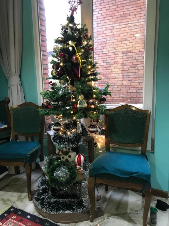 第比利斯Griboedov 13的一间有两把椅子的房间的圣诞树