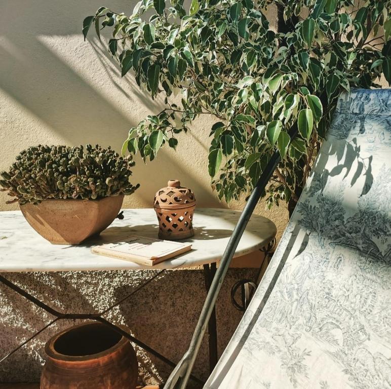 CalvignanoAgriturismo i Gessi的上面有盆栽植物的架子