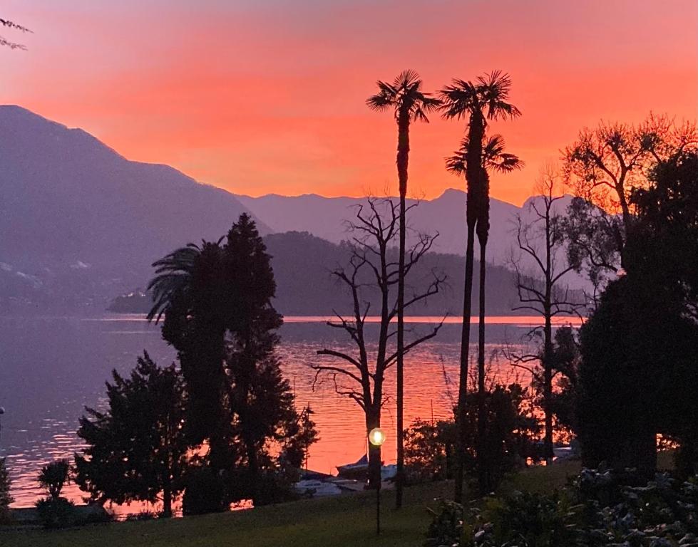 特雷梅佐Villa Lina的棕榈树和山脉环绕的湖泊的日落