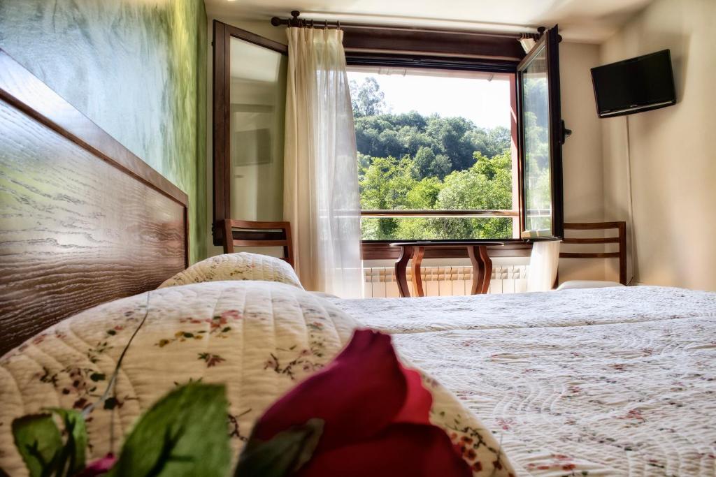 坎加斯-德奥尼斯Alojamiento Covadonga的一间卧室设有一张床和一个大窗户