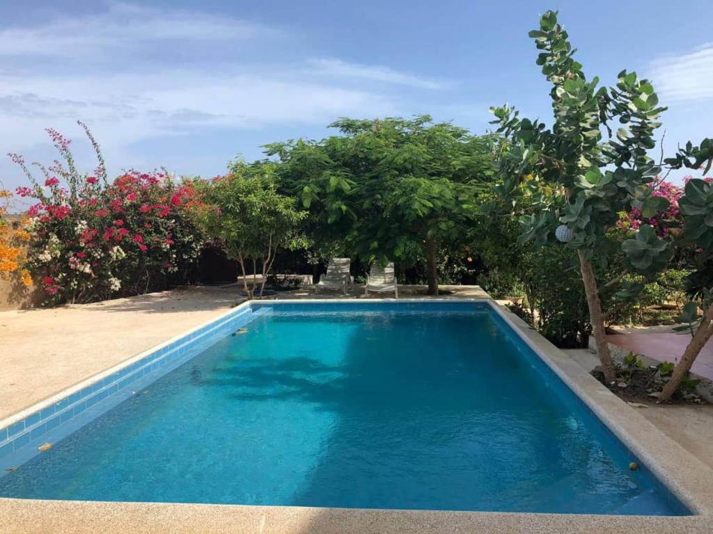 PoponguineBelle villa的一座种有树木和鲜花的庭院内的游泳池