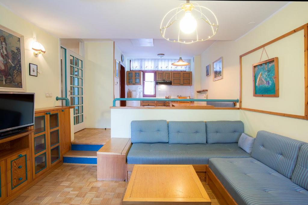 克拉尼斯卡戈拉Apartments Baki Kranjska Gora的带沙发和电视的客厅