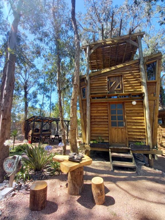 拉埃斯梅拉达Flor de Vida Geocabañas - Tiny的树林里树屋,有长凳和树木