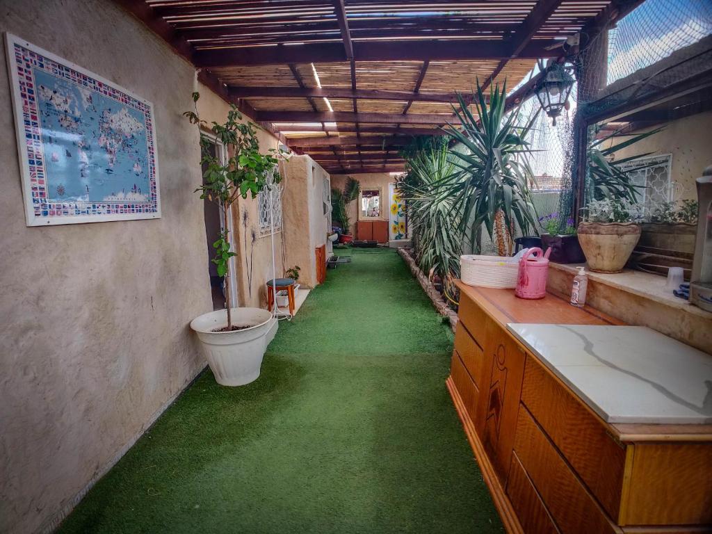 埃拉特הבית הלבן של נתן的绿色的客房,设有卫生间和植物