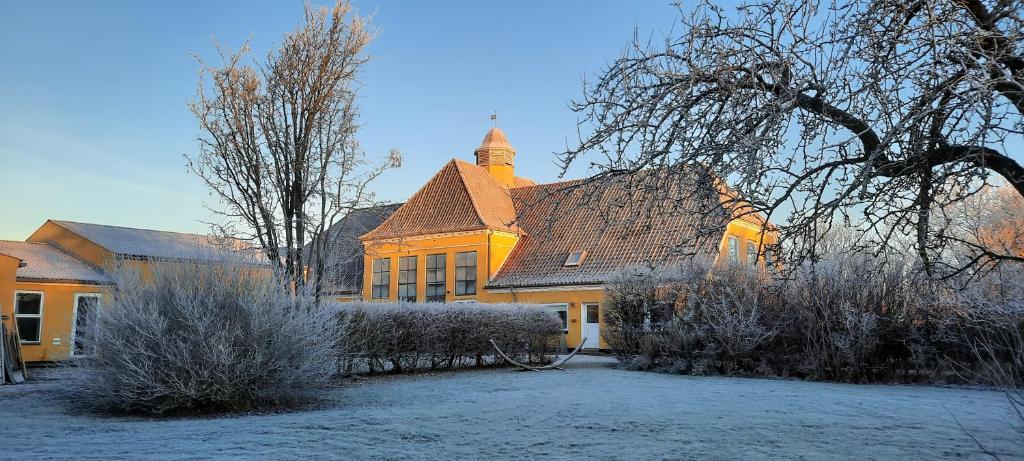 BørglumBørglum Mejeri Hotel的一座大型黄色房子,有雪盖庭院