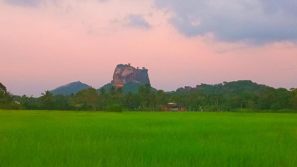 锡吉里亚Nice View Lodge的远处的山,有一片绿地