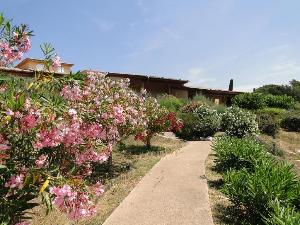阿帕涅托Les Villas de Lava的一座种有粉红色花卉的花园