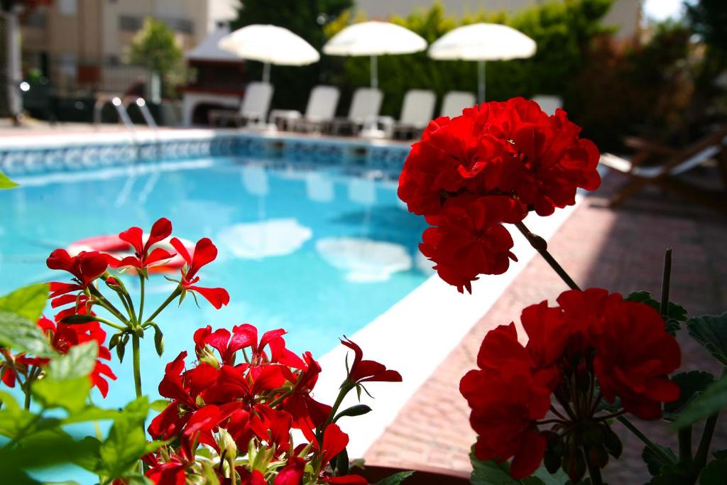 里托楚伦奥林匹斯山德罗索斯别墅酒店的游泳池前有红色的鲜花