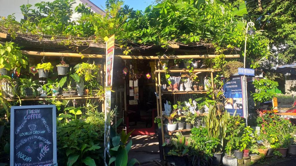 清迈吉米和吉恩民宿的门廊上种植了植物的花园商店