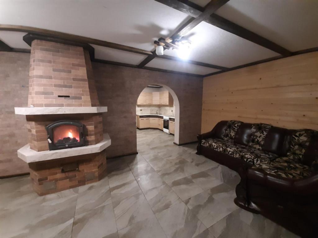 库尼贡达Синевирський Краєвид的客厅设有壁炉和沙发。