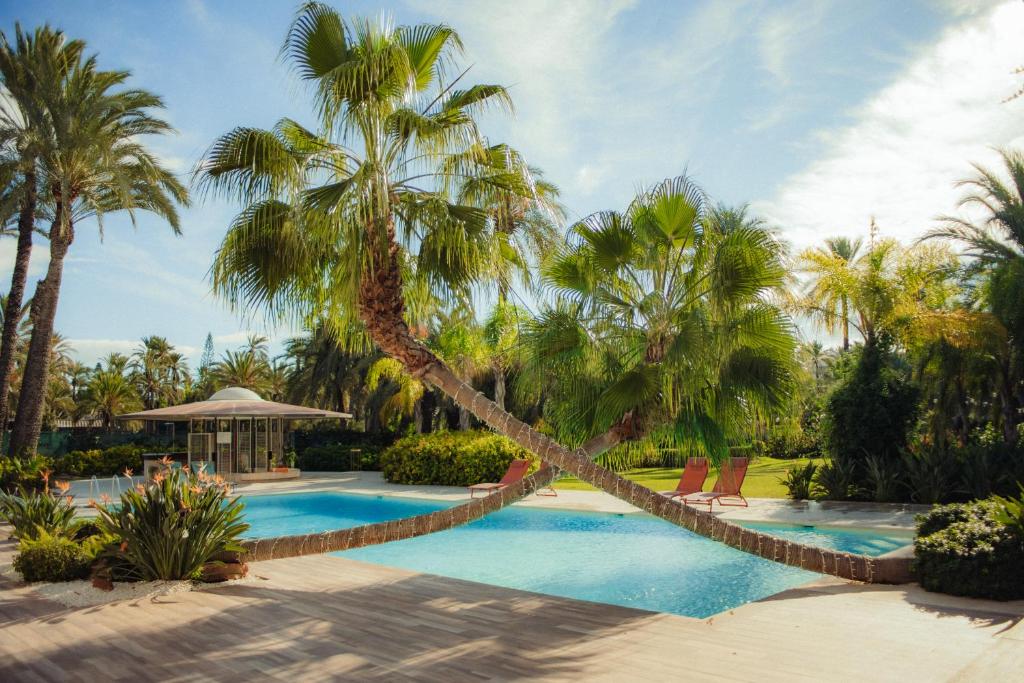 埃尔切Hotel Boutique Hort de Nal的棕榈树游泳池和凉亭