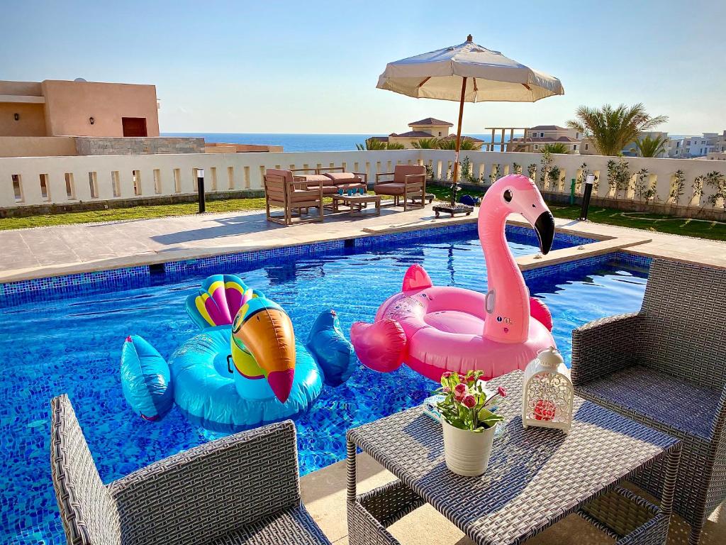 赫尔格达Hurghada Sahl Hasheesh sea-view Villa with private pool的游泳池内有两个充气天鹅