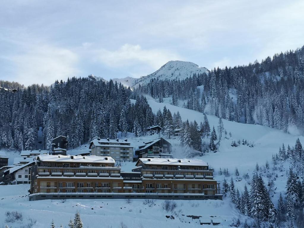 索内纳尔佩·纳斯费尔德Sonnenalpe Apartments Nassfeld的山上大雪地中的一座建筑