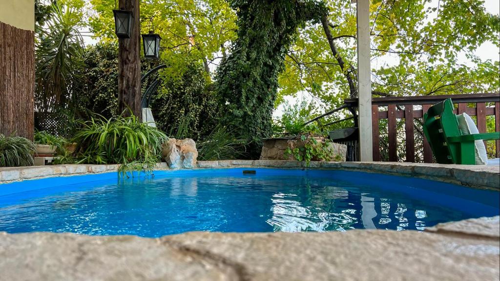 罗什平纳阿德瓦至高酒店的一只小蓝色游泳池旁的狗